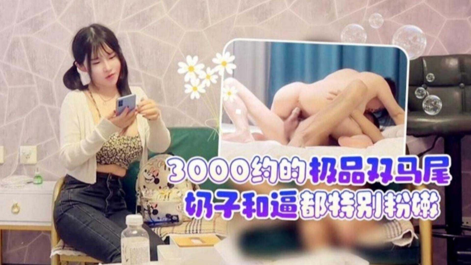 3000块约的极品双马尾嫩萝莉奶子和逼都极度粉嫩