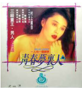 青春夢裏人   1994