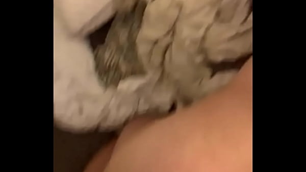 Chinese/Latina bbw named Jade comes over to let me cum in her while she tells me about other guys she has lined up to cum in her.