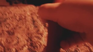 Kitten plays with rose