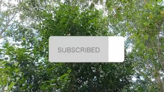 Pinay Girl Touching n’ Playing Pussy in the Wilderness