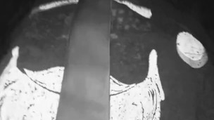 First date with a happy ending